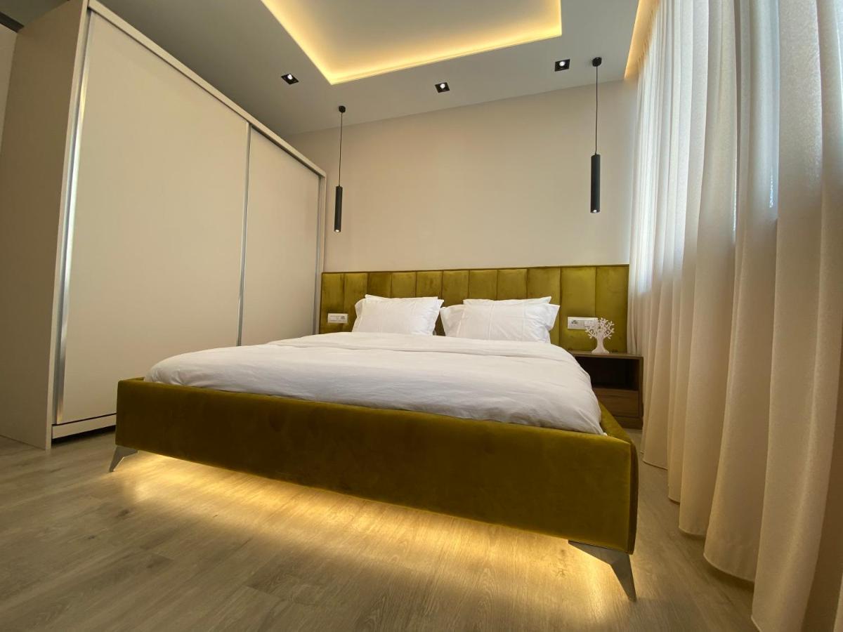 Newly Renovated Apartment 地拉那 外观 照片