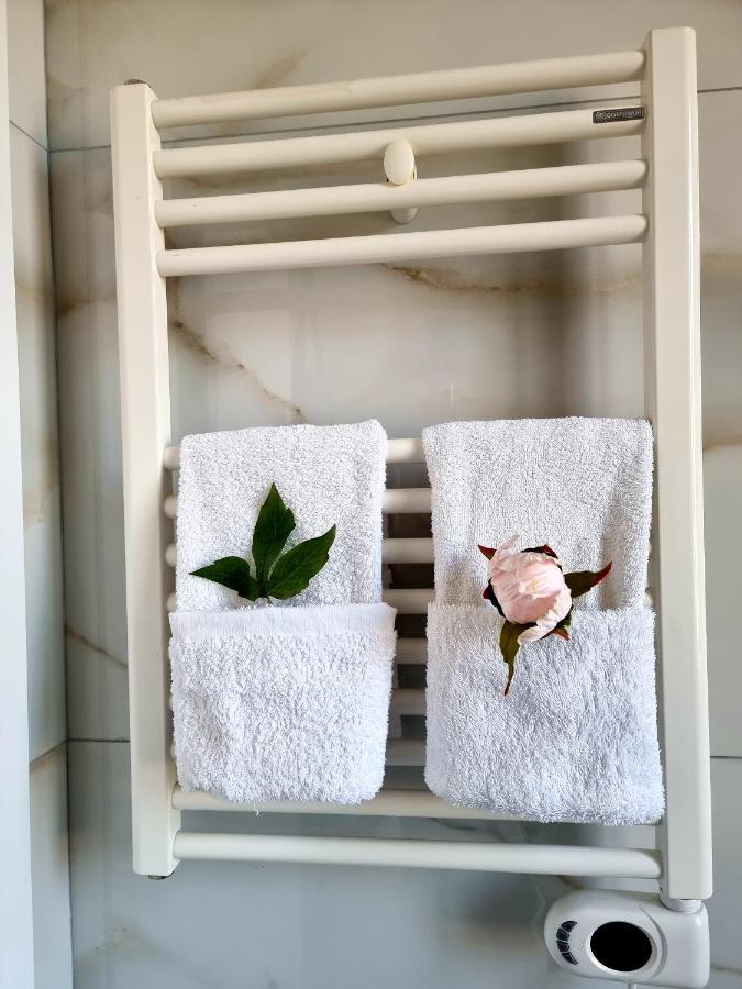 Newly Renovated Apartment 地拉那 外观 照片